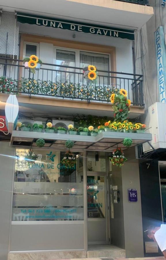 Hostal Boutique Luna De Gavin Cullera Exterior photo